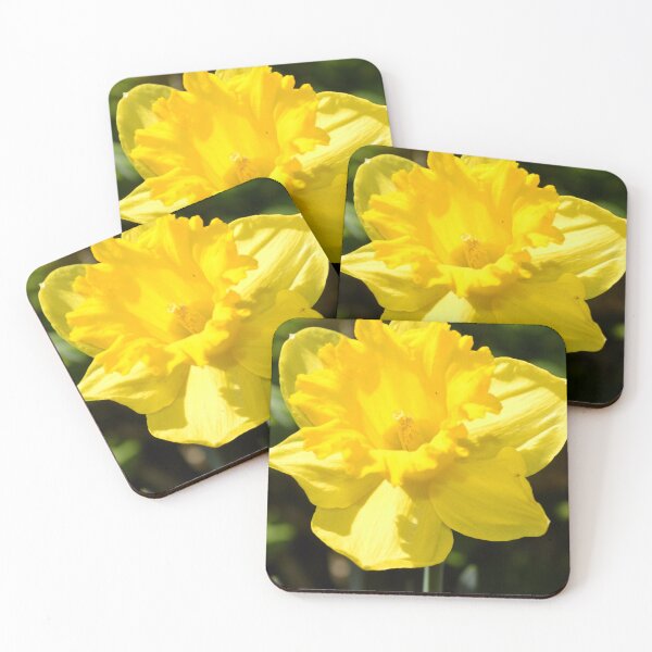 Item preview, Daffodil designed and sold by Aroundabout.