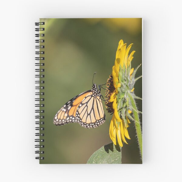 Item preview, Monarch 2018-2 designed and sold by Thomasyoung.