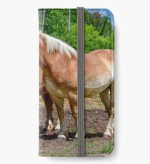 "Equine Duo" iPhone Wallet/Case/Skin