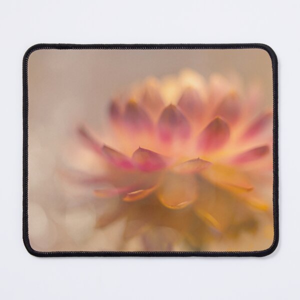 Item preview, Delicate Flower in Soft Focus designed and sold by Veikko Suikkanen.