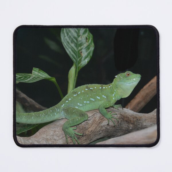 Item preview, Green Lizard on Branch designed and sold by Savannah Gibbs.