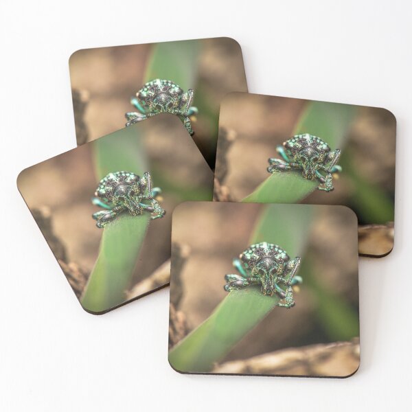 Item preview, Botany Bay Diamond Weevil designed and sold by robdwildlife.