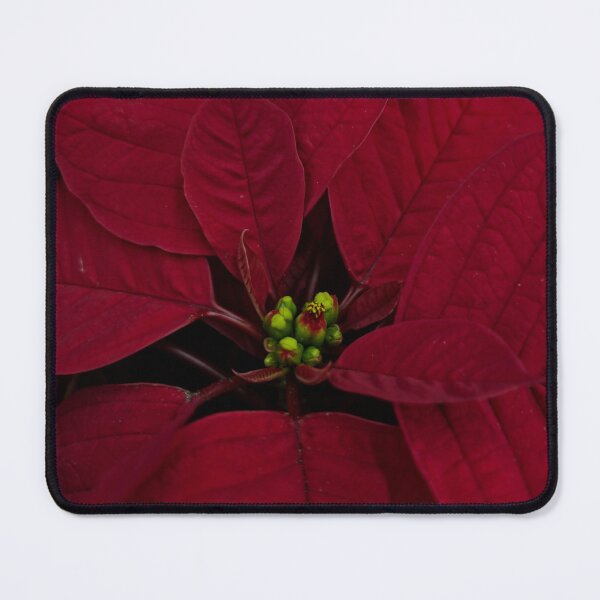 Item preview, Red Bloom Magic designed and sold by Betsy Phillips.