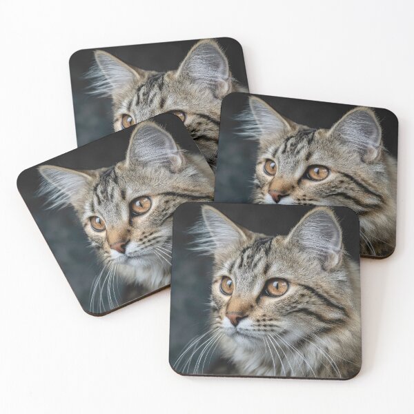 Item preview, American Bobtail Cat Portrait designed and sold by Elisabeth Lucas.