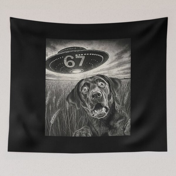 Item preview, Shocked Dog and UFO Encounter 67 Six Seven Art designed and sold by LashondaGreen89.