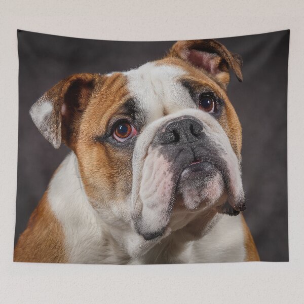 Item preview, Bulldog Portrait designed and sold by Elisabeth Lucas.
