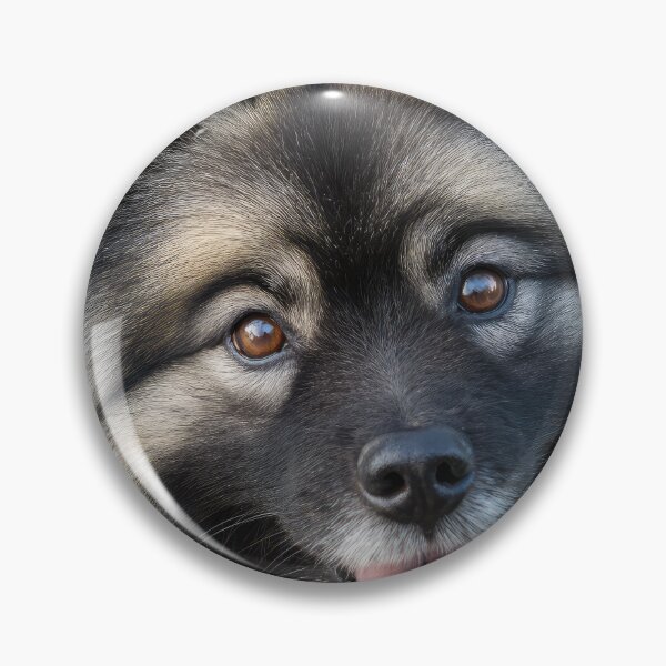 Item preview, Keeshond Close Up designed and sold by Elisabeth Lucas.