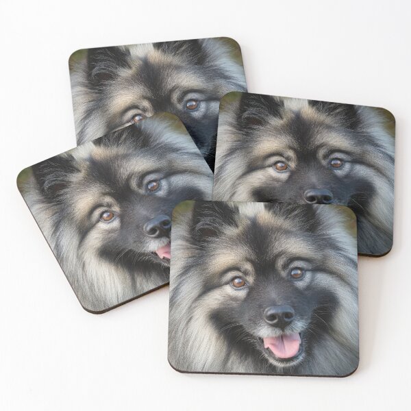 Item preview, Keeshond Close Up designed and sold by Elisabeth Lucas.