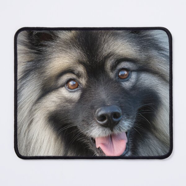 Item preview, Keeshond Close Up designed and sold by Elisabeth Lucas.