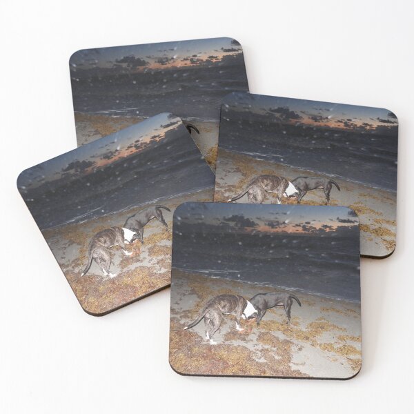 Item preview, Midnight Find at the Shore designed and sold by SunrizePhotos.
