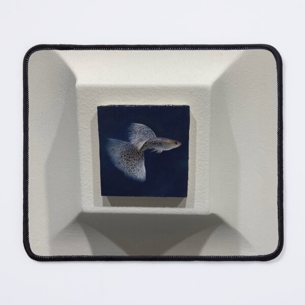 Item preview, Playful Guppy Swim designed and sold by Khaactorwriter.
