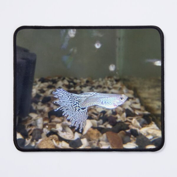 Item preview, Serene Guppy Drift designed and sold by Khaactorwriter.