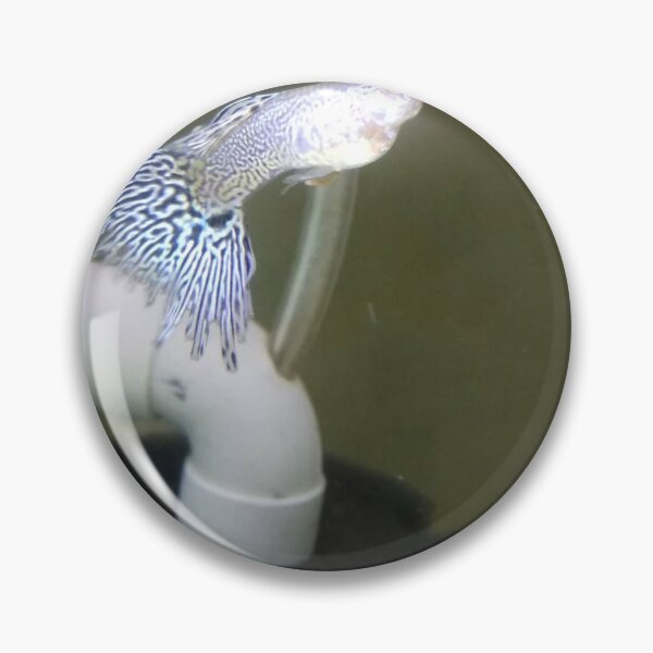 Item preview, Radiant Guppy Calm designed and sold by Khaactorwriter.