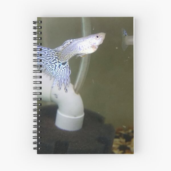 Item preview, Radiant Guppy Calm designed and sold by Khaactorwriter.