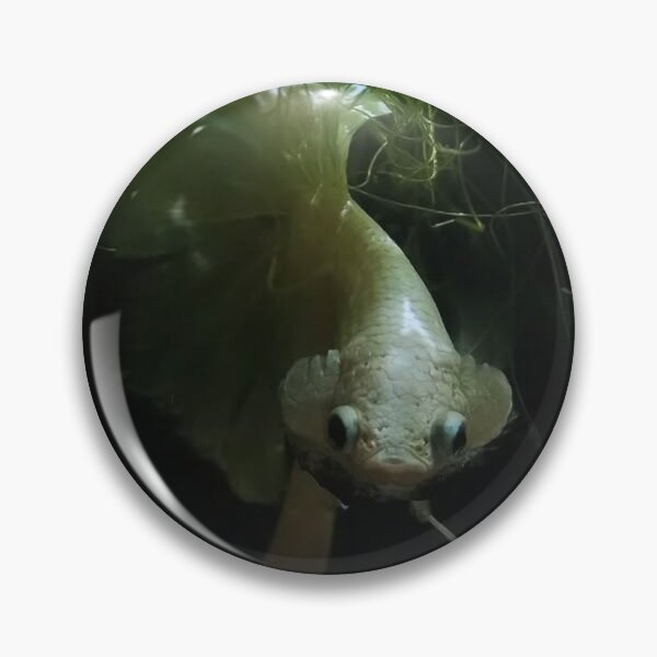 Item preview, Graceful Guppy Fins designed and sold by Khaactorwriter.