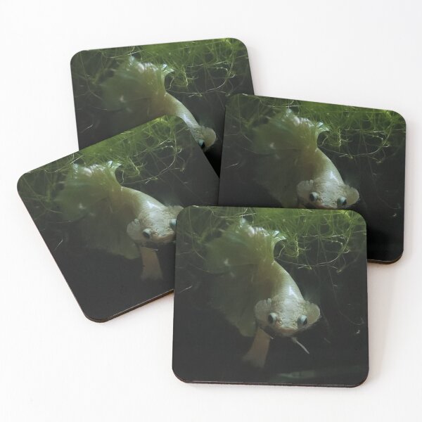 Item preview, Graceful Guppy Fins designed and sold by Khaactorwriter.