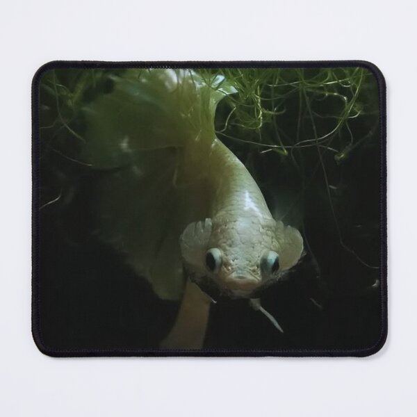 Item preview, Graceful Guppy Fins designed and sold by Khaactorwriter.