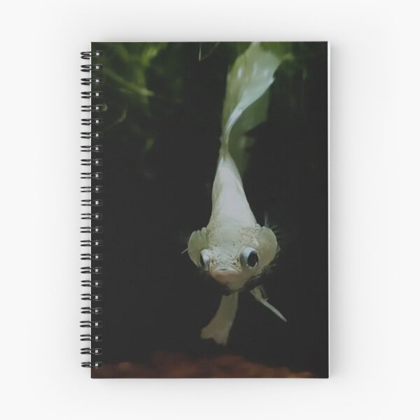 Item preview, Peaceful Guppy Swim designed and sold by Khaactorwriter.