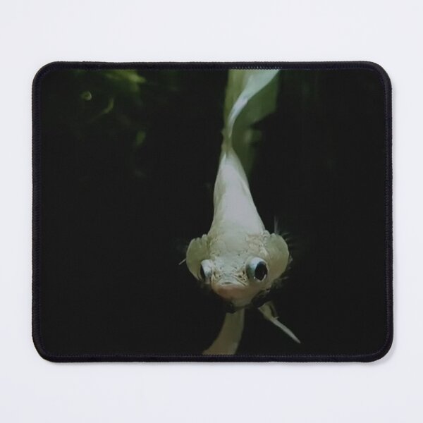 Item preview, Peaceful Guppy Swim designed and sold by Khaactorwriter.