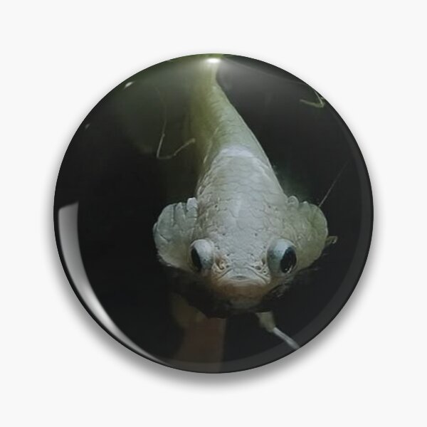 Item preview, Tranquil Guppy Scene designed and sold by Khaactorwriter.