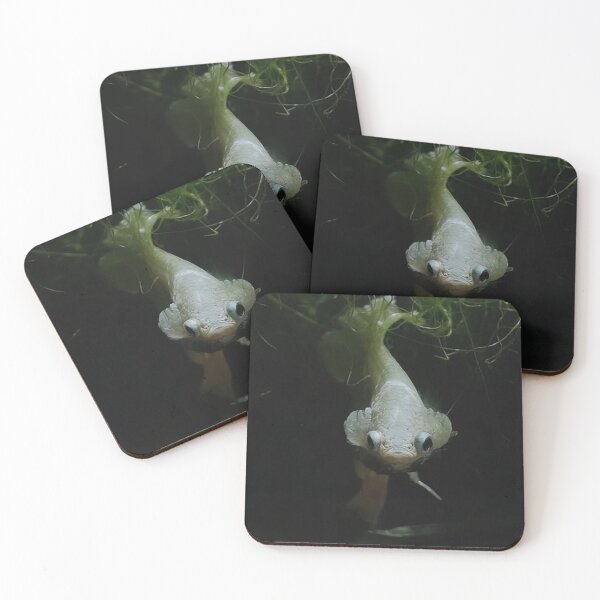 Item preview, Tranquil Guppy Scene designed and sold by Khaactorwriter.