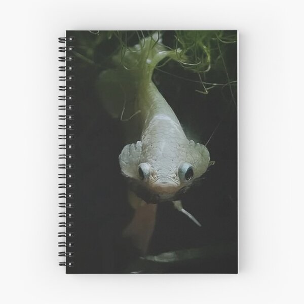 Item preview, Tranquil Guppy Scene designed and sold by Khaactorwriter.