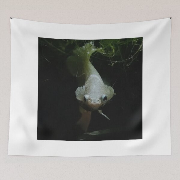 Item preview, Tranquil Guppy Scene designed and sold by Khaactorwriter.