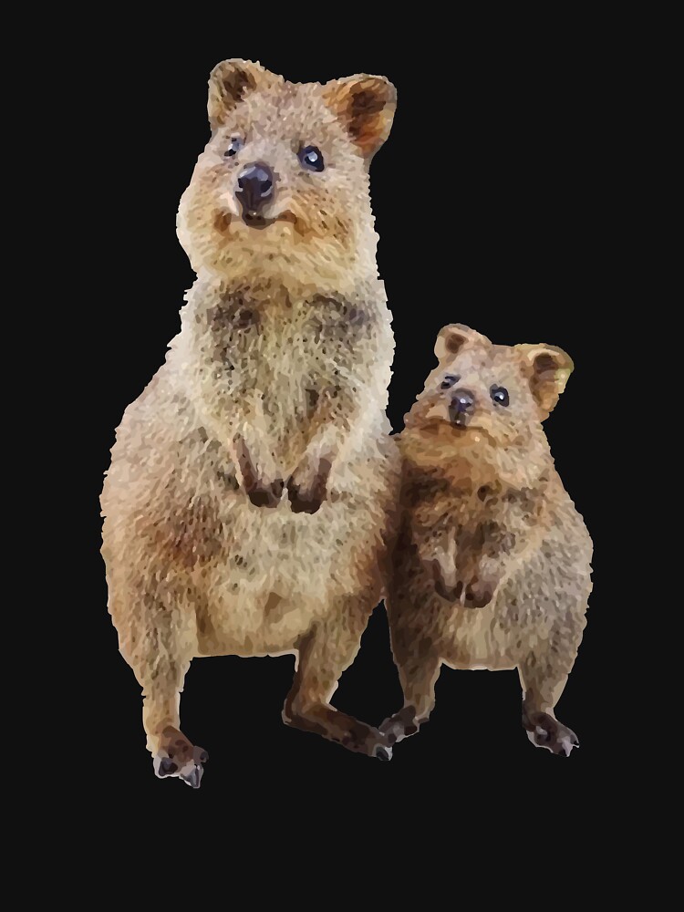 Quokkas pour les filles qui aiment le quokka' Ours en peluche