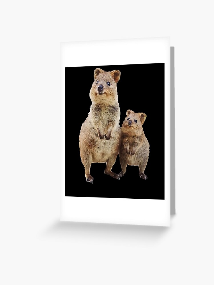 Quokka avec bébé mignon ours en peluche australien | Carte de vœux