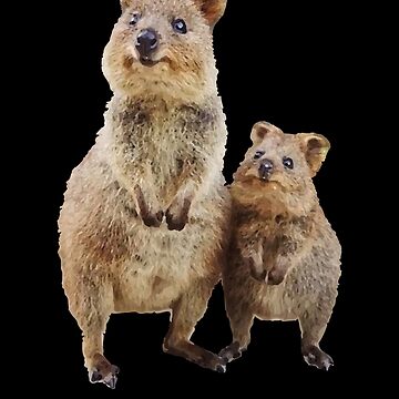 Carte de vœux for Sale avec l'œuvre « Quokka avec bébé mignon ours en  peluche australien » de l'artiste Animalzilla