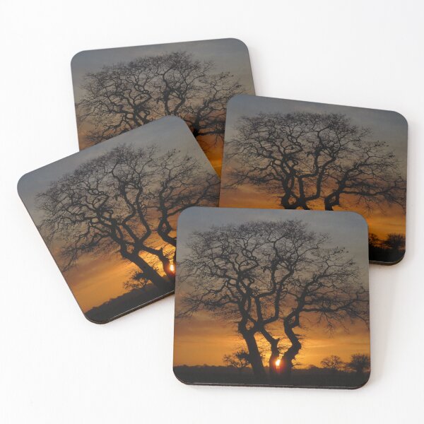 Item preview, Silhouetted Treescape designed and sold by wiggyofipswich.