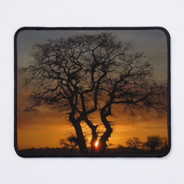 Item preview, Silhouetted Treescape designed and sold by wiggyofipswich.