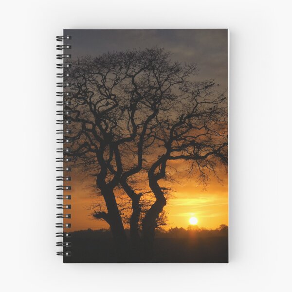 Item preview, Silhouetted Treescape at Sunrise designed and sold by wiggyofipswich.