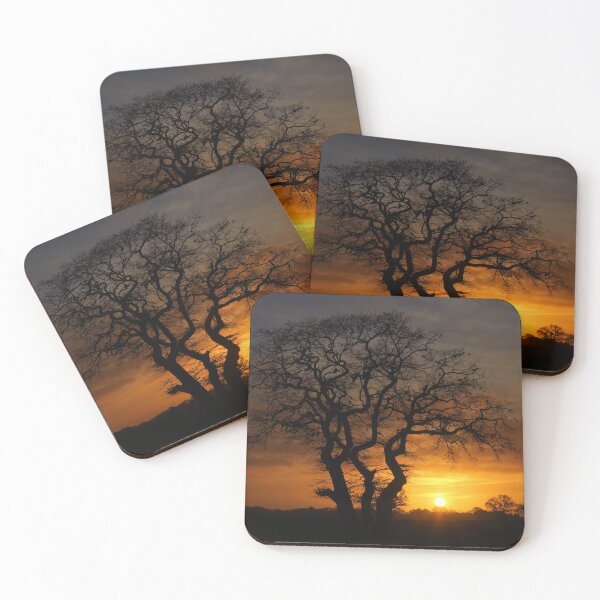 Item preview, Silhouetted Treescape at Sunrise designed and sold by wiggyofipswich.