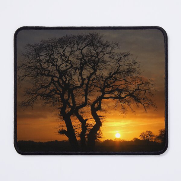 Item preview, Silhouetted Treescape at Sunrise designed and sold by wiggyofipswich.