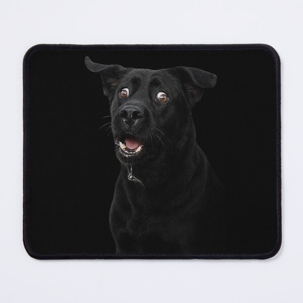 Item preview, Funny Scared Black Labrador Dog Meme Face With Terrified Expression designed and sold by love3617.