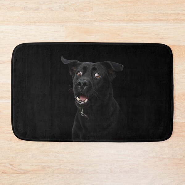 Item preview, Funny Scared Black Labrador Dog Meme Face With Terrified Expression designed and sold by love3617.