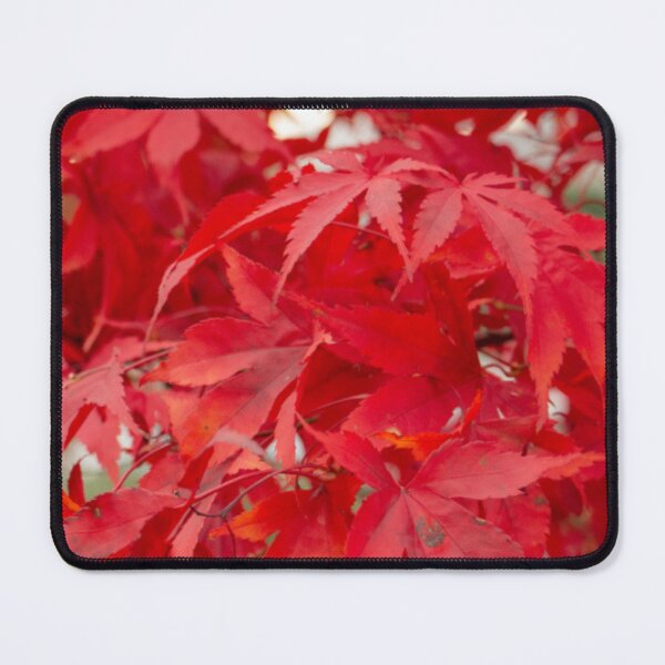 Item preview, Red Maple Leaves in Fall designed and sold by Nafeesdesign.