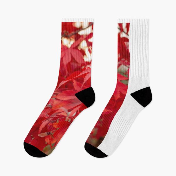 Item preview, Red Maple Leaves in Fall designed and sold by Nafeesdesign.