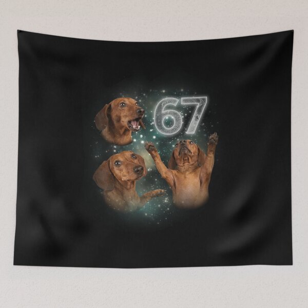 Item preview, Funny Dachshund Galaxy 67 Six Seven Birthday T-Shirt designed and sold by LashondaGreen89.