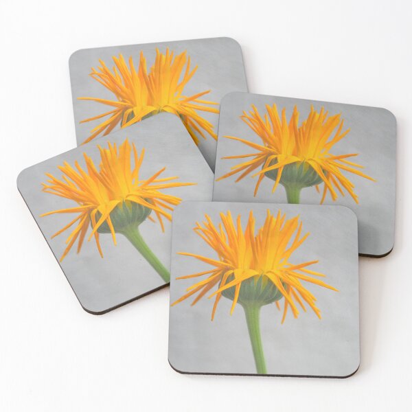 Item preview, Marigold with Punk Hairstyle designed and sold by Kasia Design.