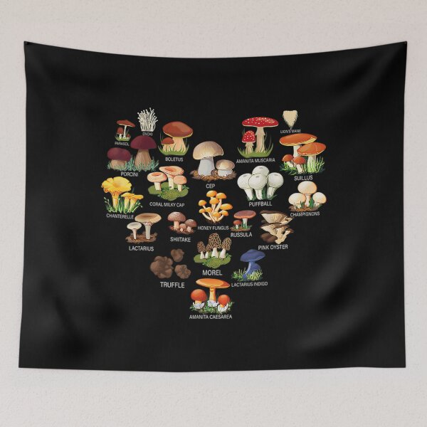 Item preview, Mycology Foraging Fungi Whisperer designed and sold by frijazede36.