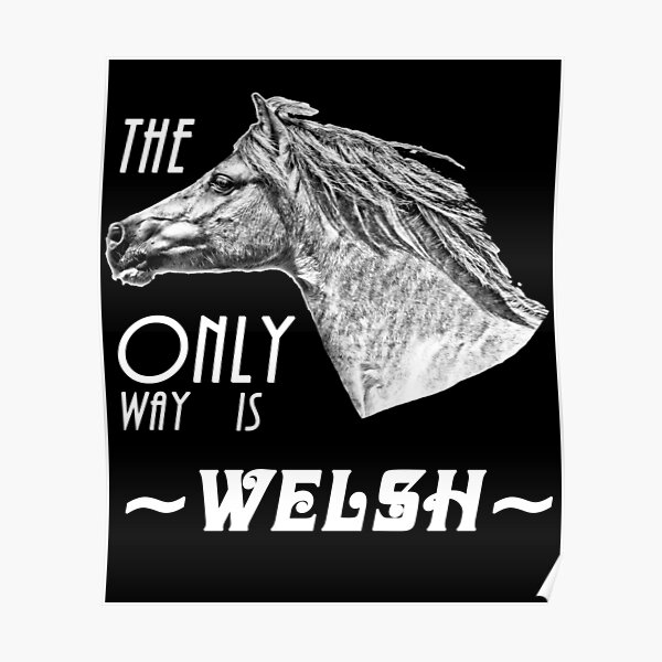 The Only Way is Welsh - Welsh Pony Appreciation Poster