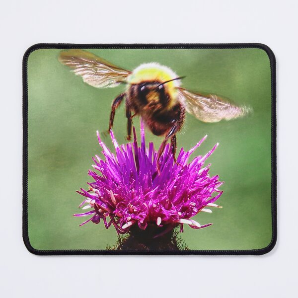 Item preview, honey bee hovering over thistle designed and sold by ChimaHome.