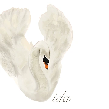 Vorschaubild zum Design Leben von ROCIODRAMATICA