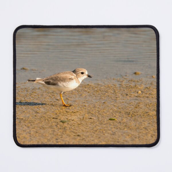 Item preview, Plover Walking on Sandy Shore designed and sold by Debra Martz.