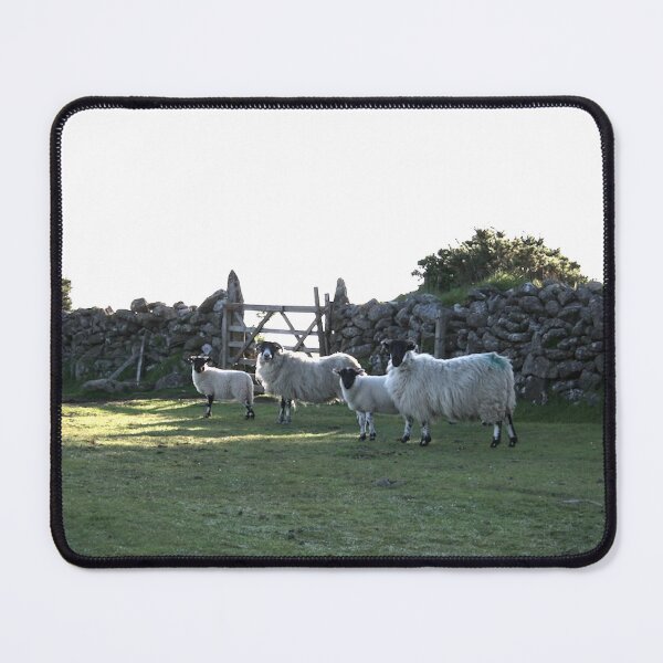 Item preview, Dartmoor sheep designed and sold by artsmeow.