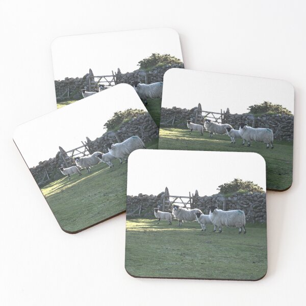 Item preview, Dartmoor sheep designed and sold by artsmeow.