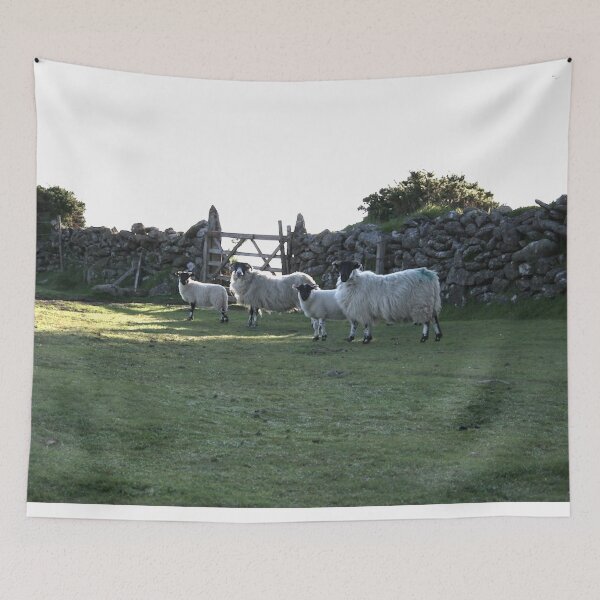 Item preview, Dartmoor sheep designed and sold by artsmeow.