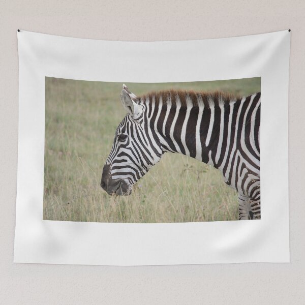 Item preview, Zebra profile designed and sold by Zoo-World.